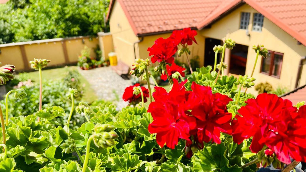 Leto House Apartment Târgu Jiu Екстериор снимка
