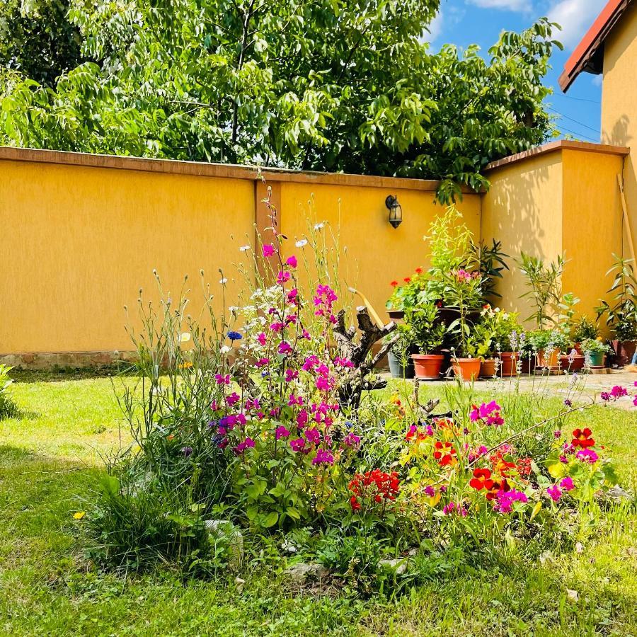 Leto House Apartment Târgu Jiu Екстериор снимка