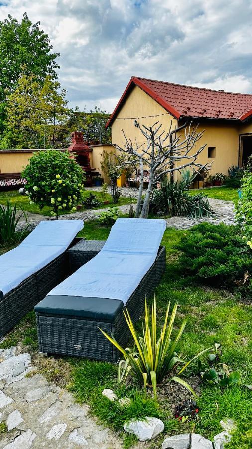 Leto House Apartment Târgu Jiu Екстериор снимка